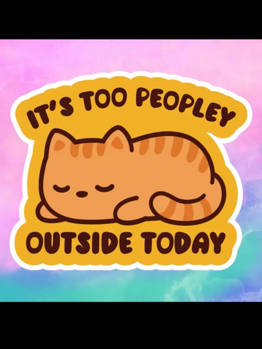 2$ Add On⭐ It's Too Peopley Outside Today Orange Cat Sticker